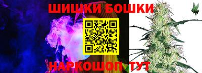 СК Краснодар