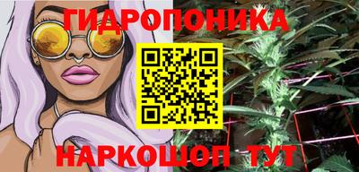 СК Краснодар