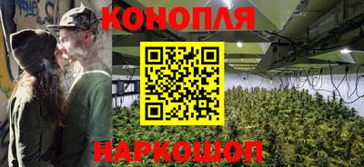 индика Краснознаменск