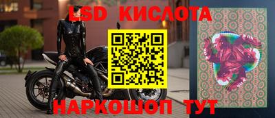 СК Краснодар