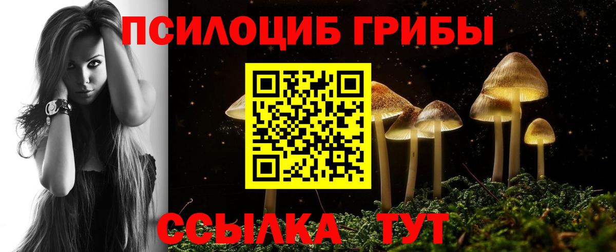закладки  Вход с VPN  Железногорск  Галлюциногенные грибы Cubensis 